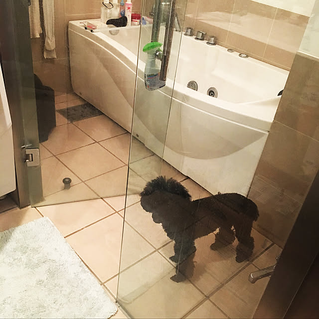バス/トイレのインテリア実例 - 2018-03-19 06:27:49