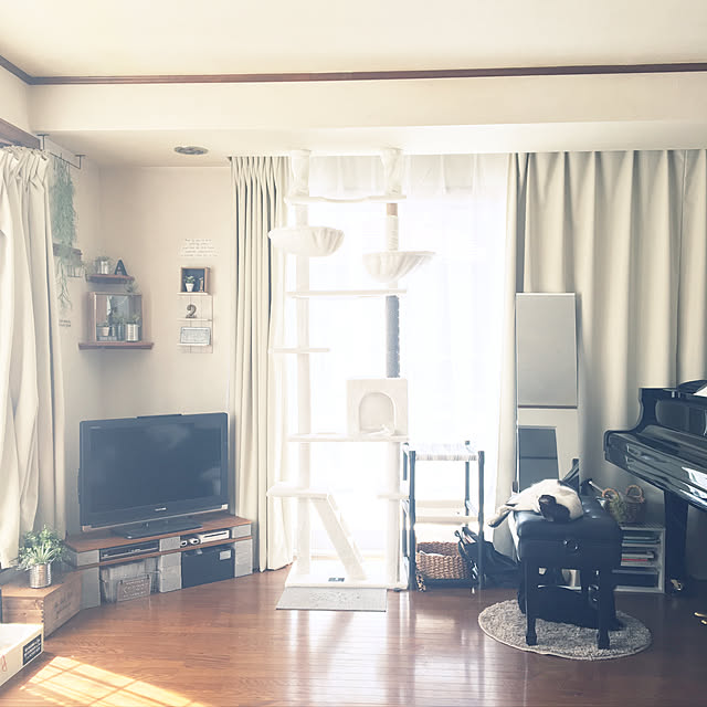 mahi1101さんの実例写真