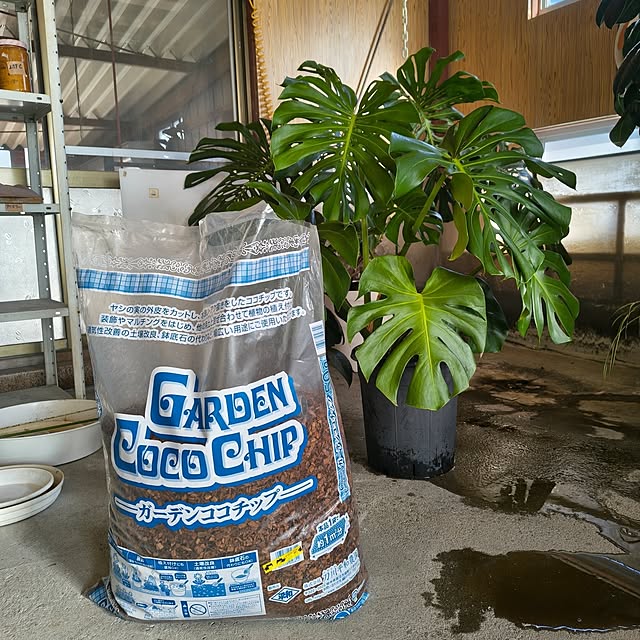 Rubiconさんの部屋