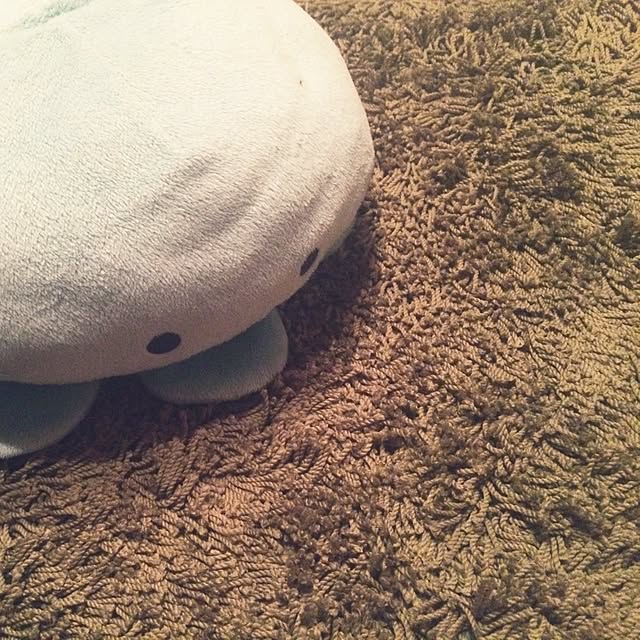 mrmrさんの実例写真