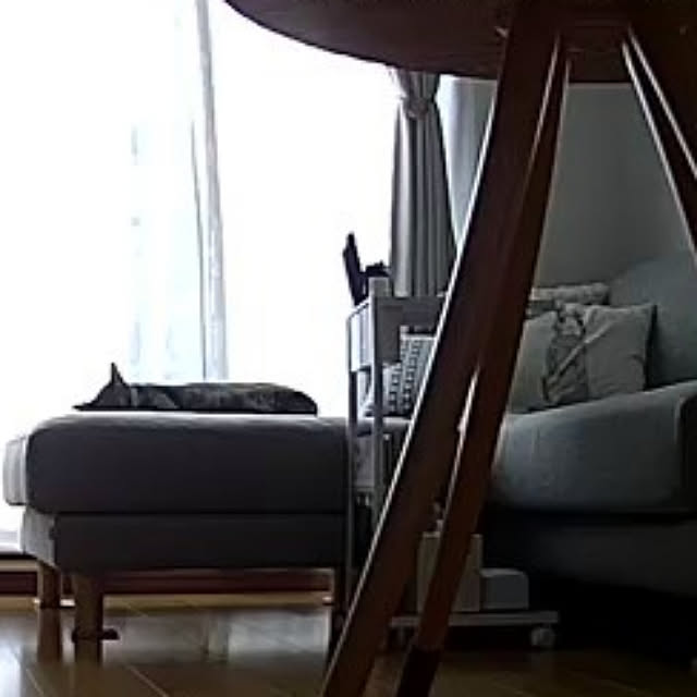 yukiさんの実例写真