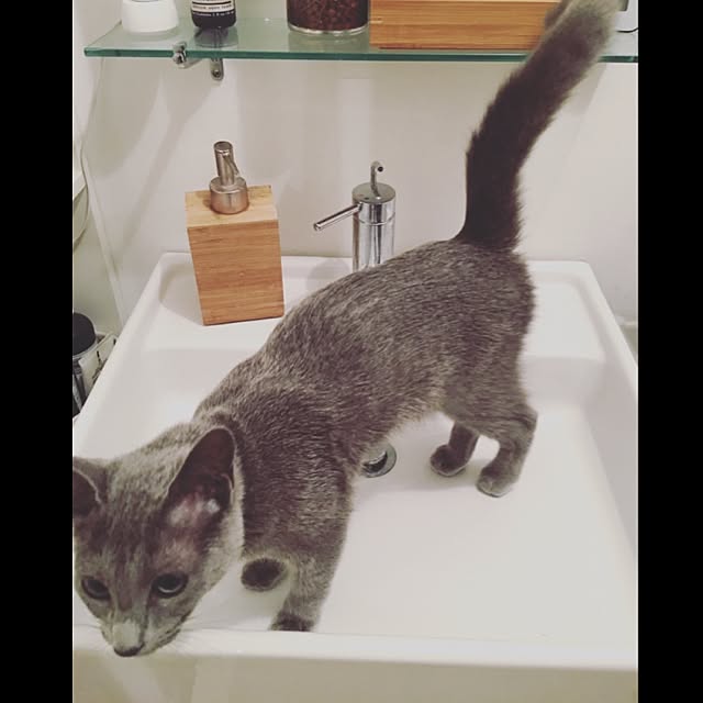 vさんの実例写真