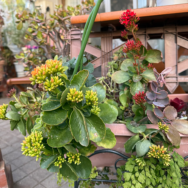 Aqettyさんの実例写真