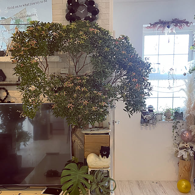 usakoさんの部屋
