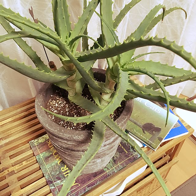 rieさんの実例写真