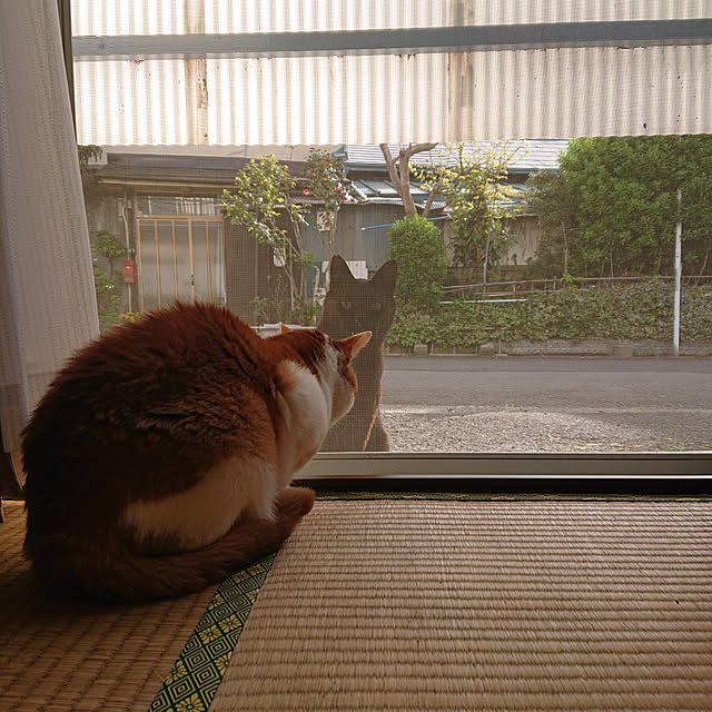 mugi77327732さんの実例写真