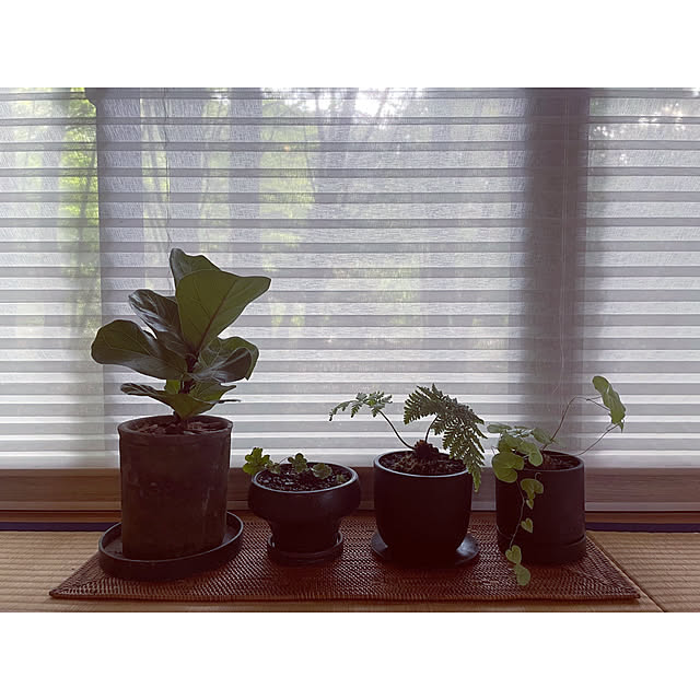 marucoさんの部屋