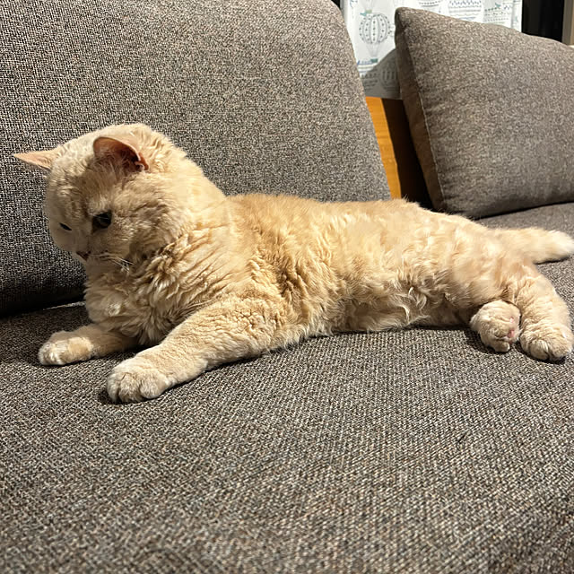 naokoさんの部屋