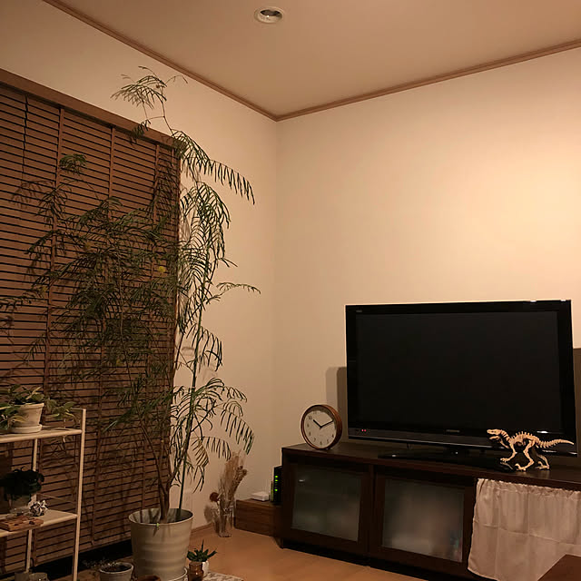 ao___.さんの実例写真