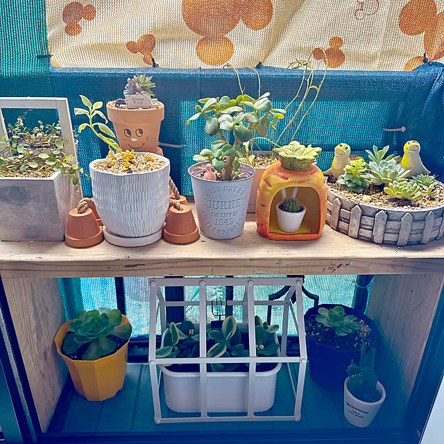 miyuさんの部屋