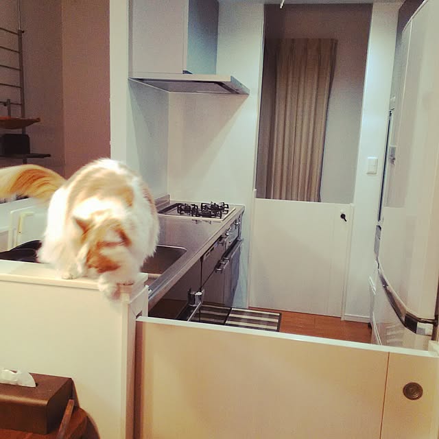 saiさんの実例写真