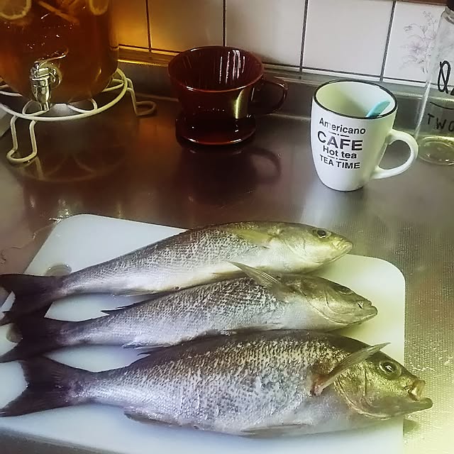 juncoさんの実例写真