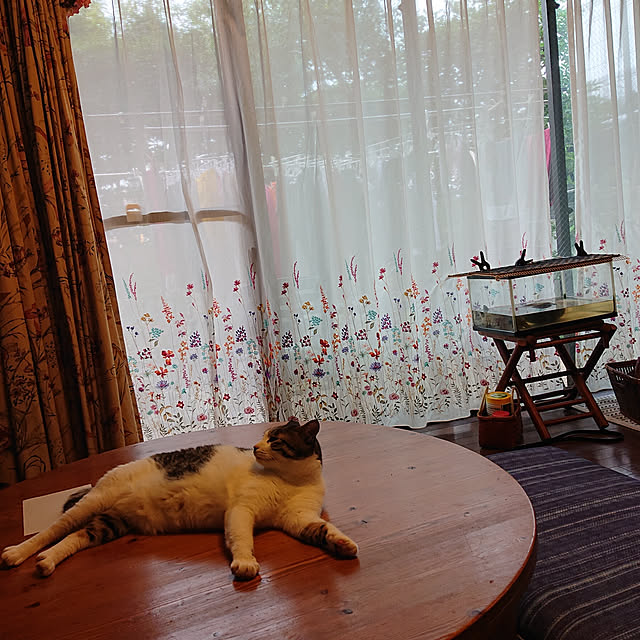 okyosan101さんの実例写真