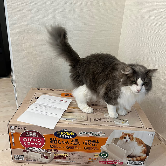 leoさんの実例写真