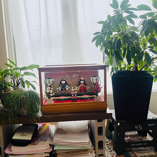 shin-chaa-mamaさんの部屋