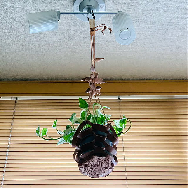 mizucchiさんの実例写真