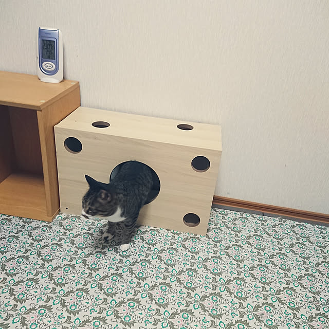 nachiさんの実例写真