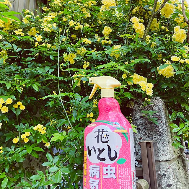 mimichankさんの実例写真