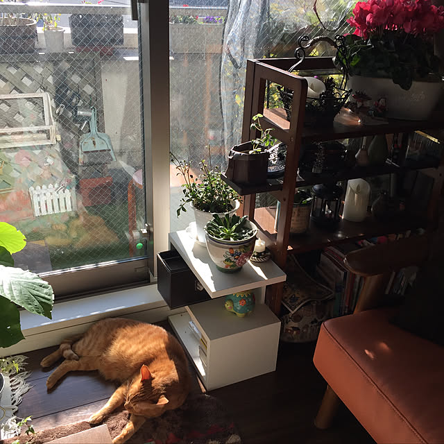 sleptcatさんの実例写真