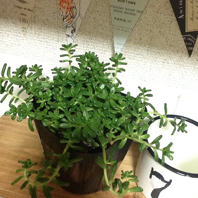 geshikoさんの実例写真