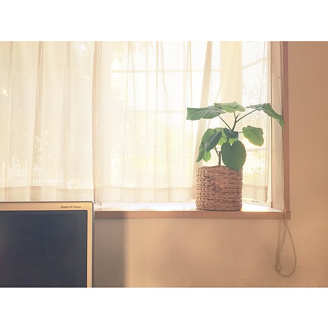 tantan_mamiさんの実例写真