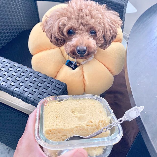 MOMOMAMAさんの実例写真