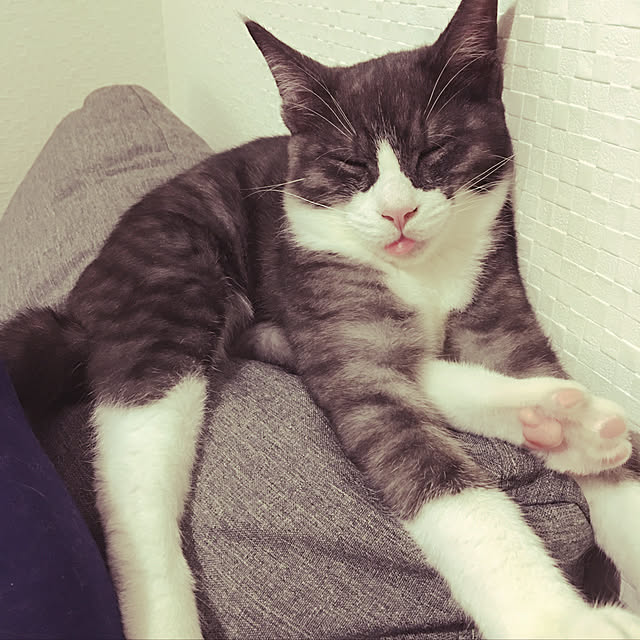 NEREさんの実例写真