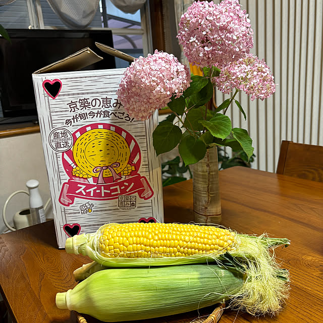 chIoeさんの部屋