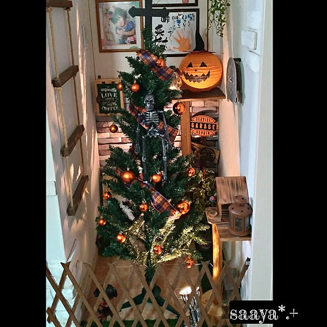 saayaさんの実例写真