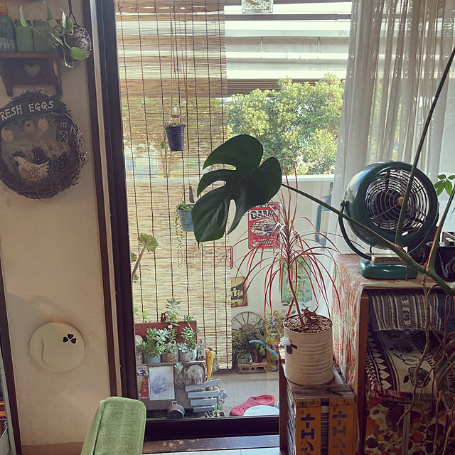 heidiさんの実例写真