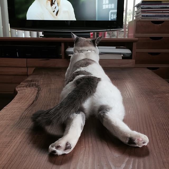 temさんの実例写真