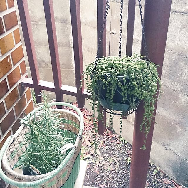 amifuuさんの実例写真