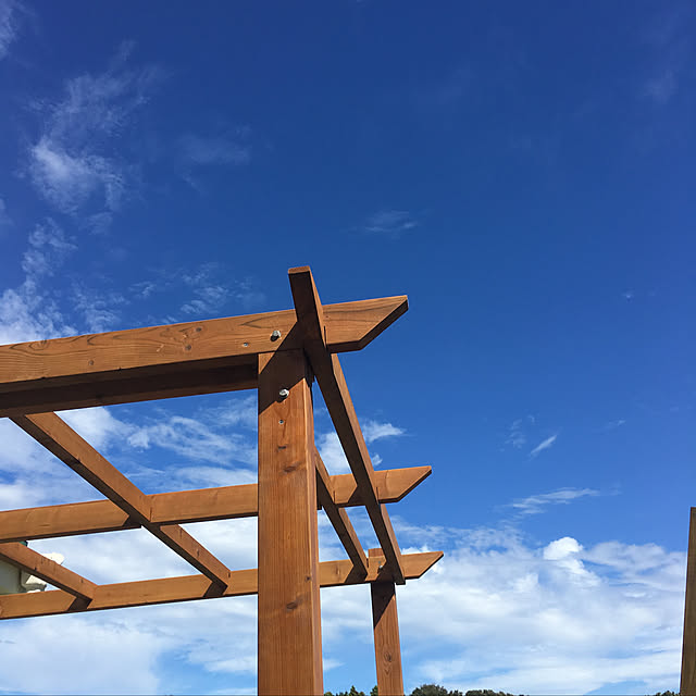 mkcさんの実例写真
