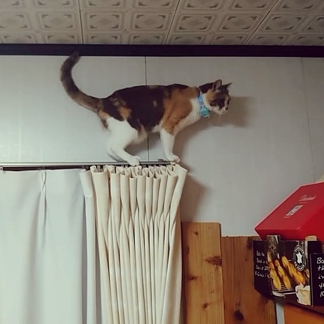 fukuさんの実例写真