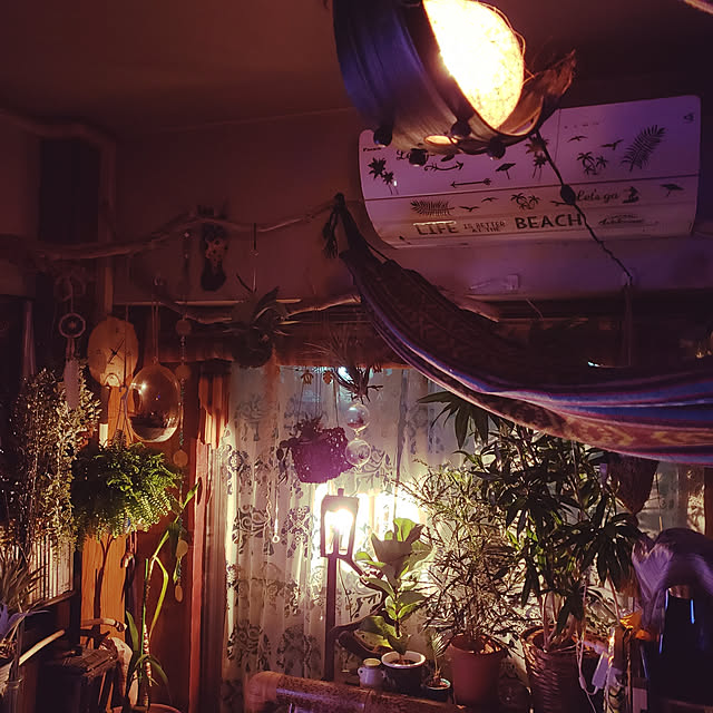 TIKIさんの実例写真