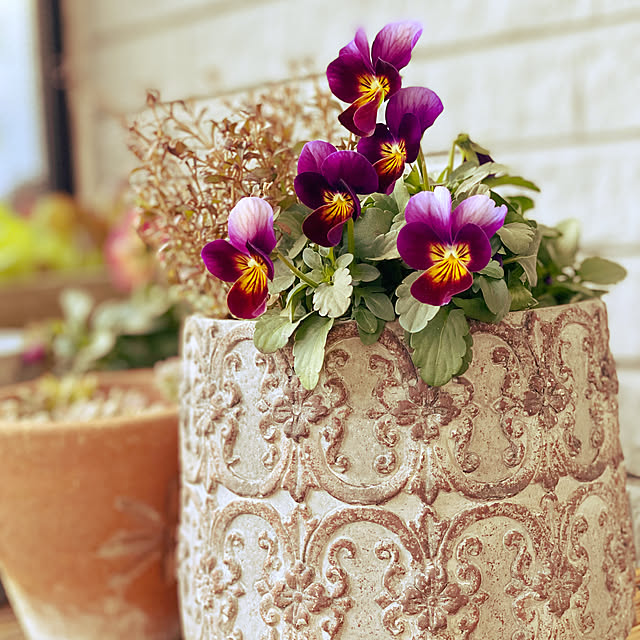 kuremaさんの実例写真