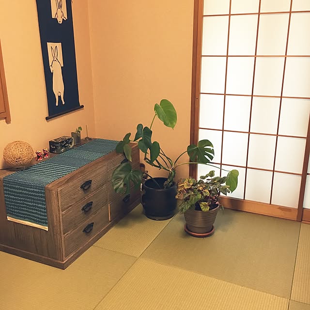 tomoさんの実例写真