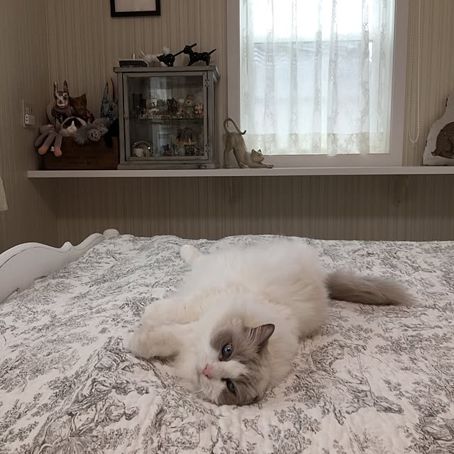 yuchiさんの実例写真