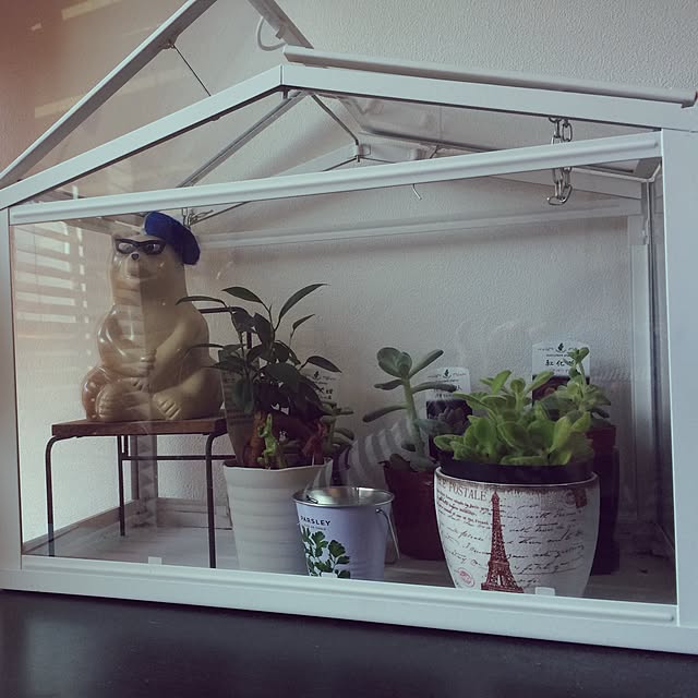 Maklokinakaさんの実例写真