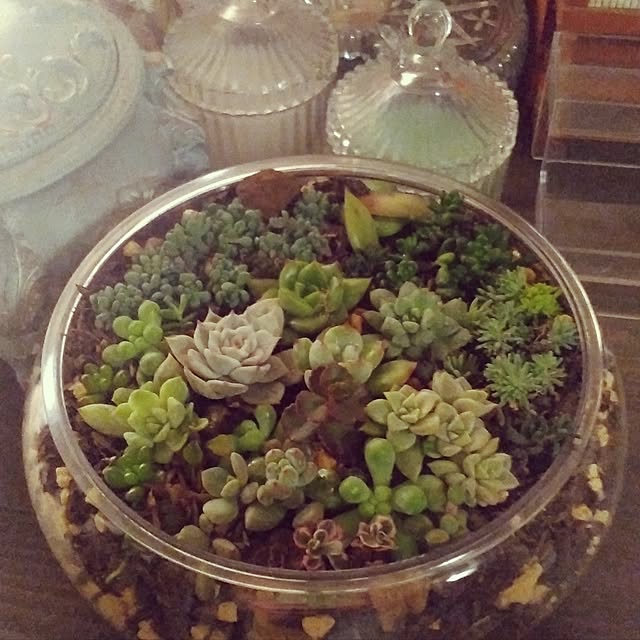 mi-tsuさんの部屋