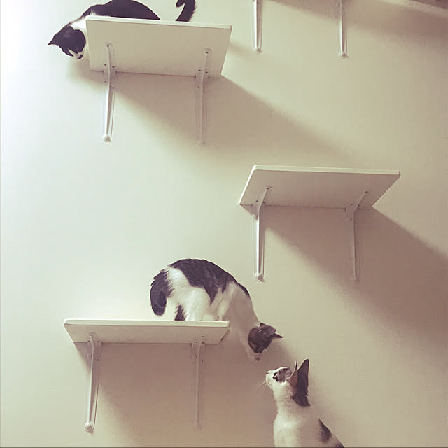 mariさんの実例写真