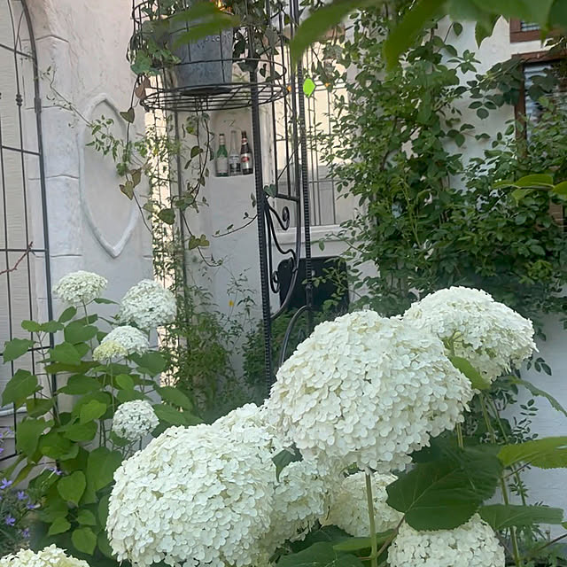 rinrinさんの部屋