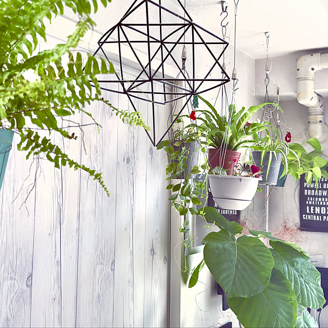 funiさんの実例写真