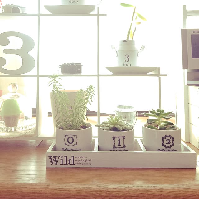 mizumizu.fさんの実例写真