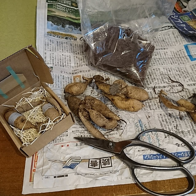 longneiさんの実例写真