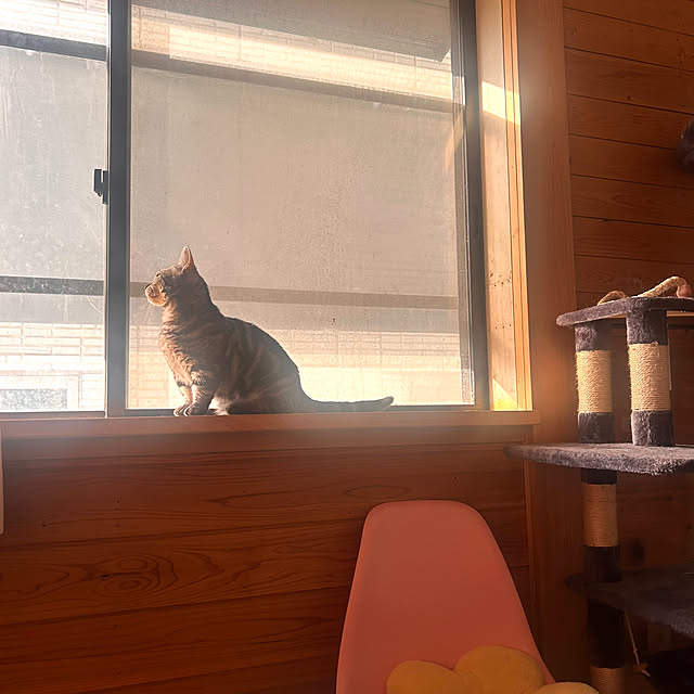 yumiさんの部屋