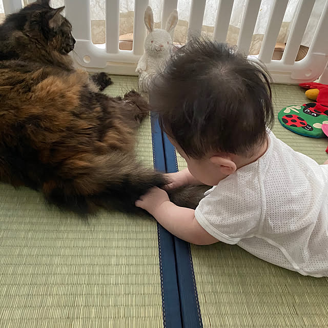 mikomaruさんの実例写真