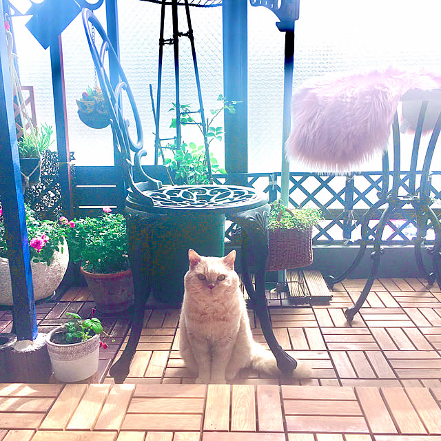 naokoさんの実例写真