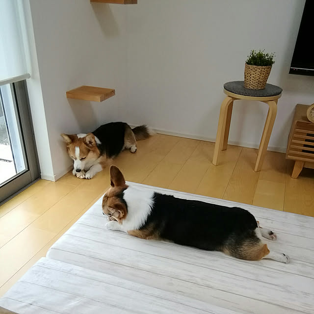 marutinoさんの実例写真