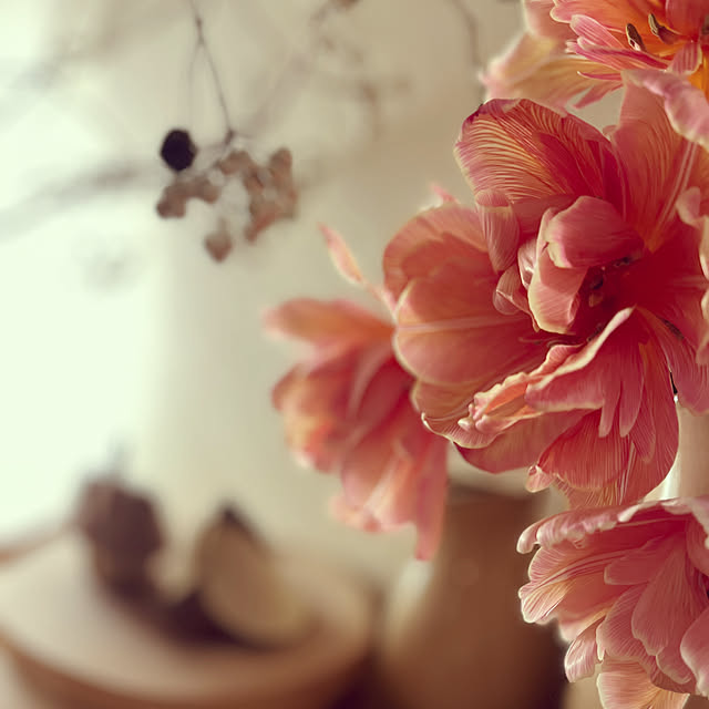 nikoさんの実例写真